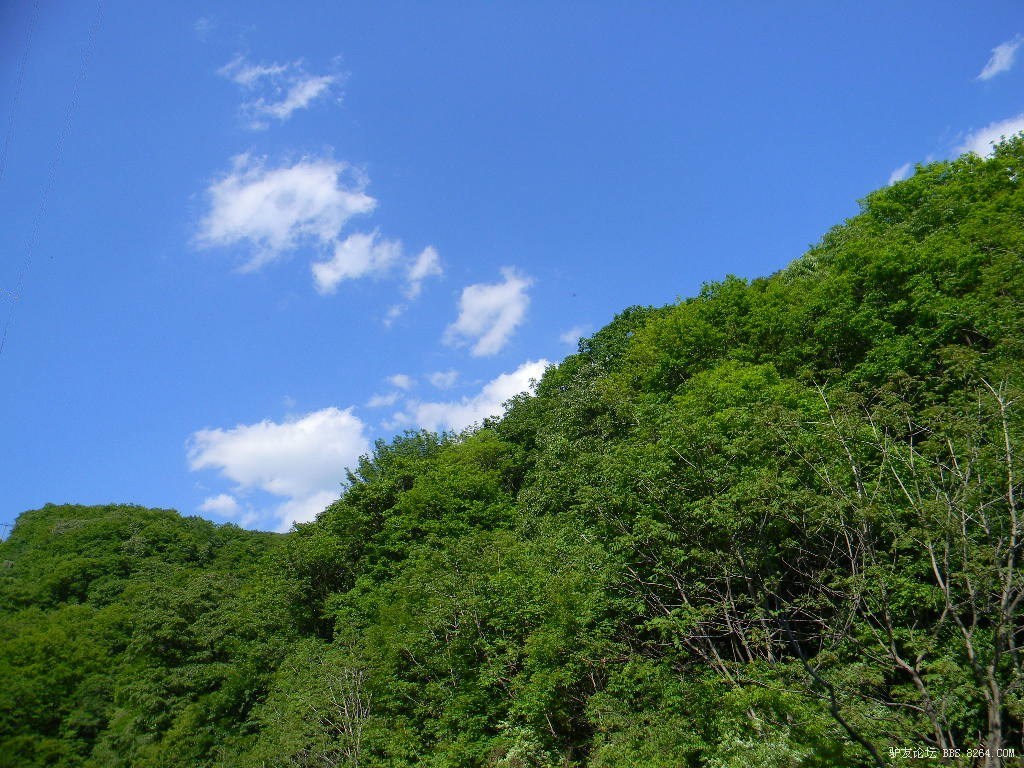 抚顺玉女山 135.jpg