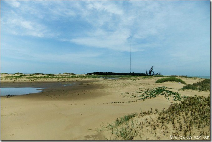 游记湛江最大的无人岛一个充满神奇和魅力的岛罗斗沙