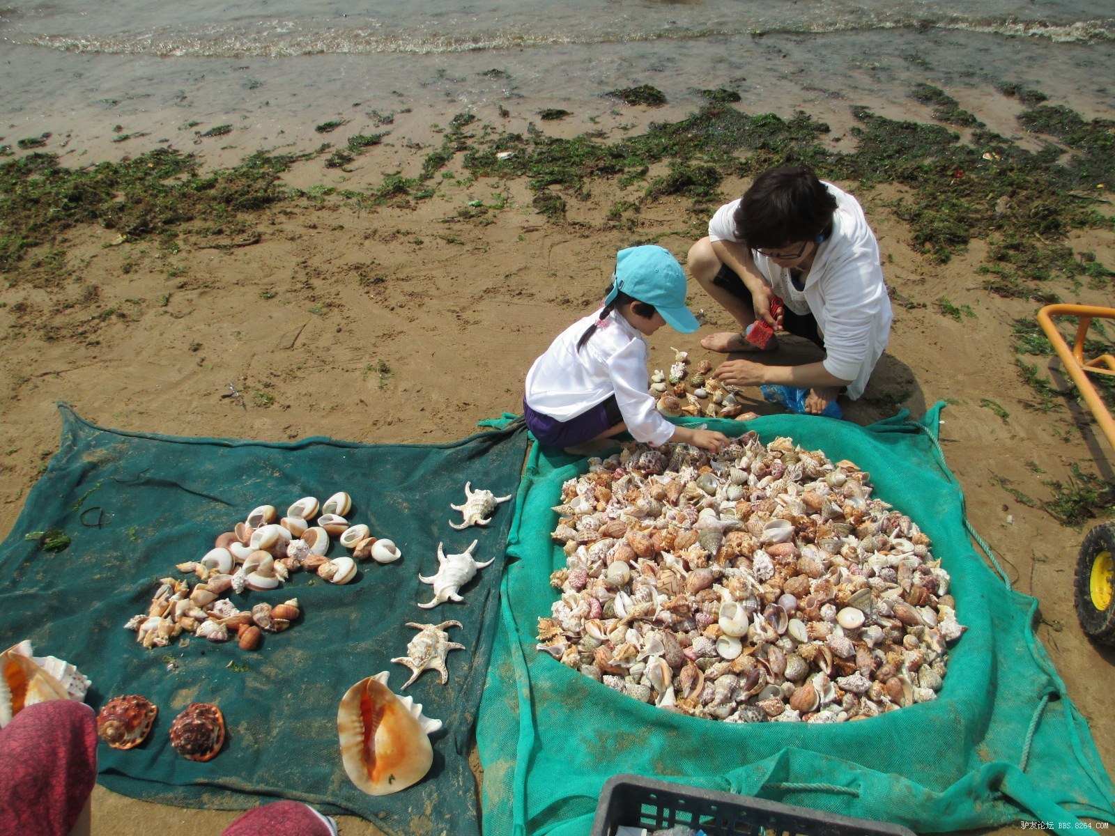 小微的青岛4天3夜自由行