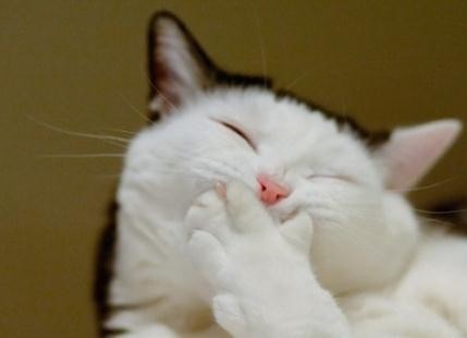 一路有你不断更新中