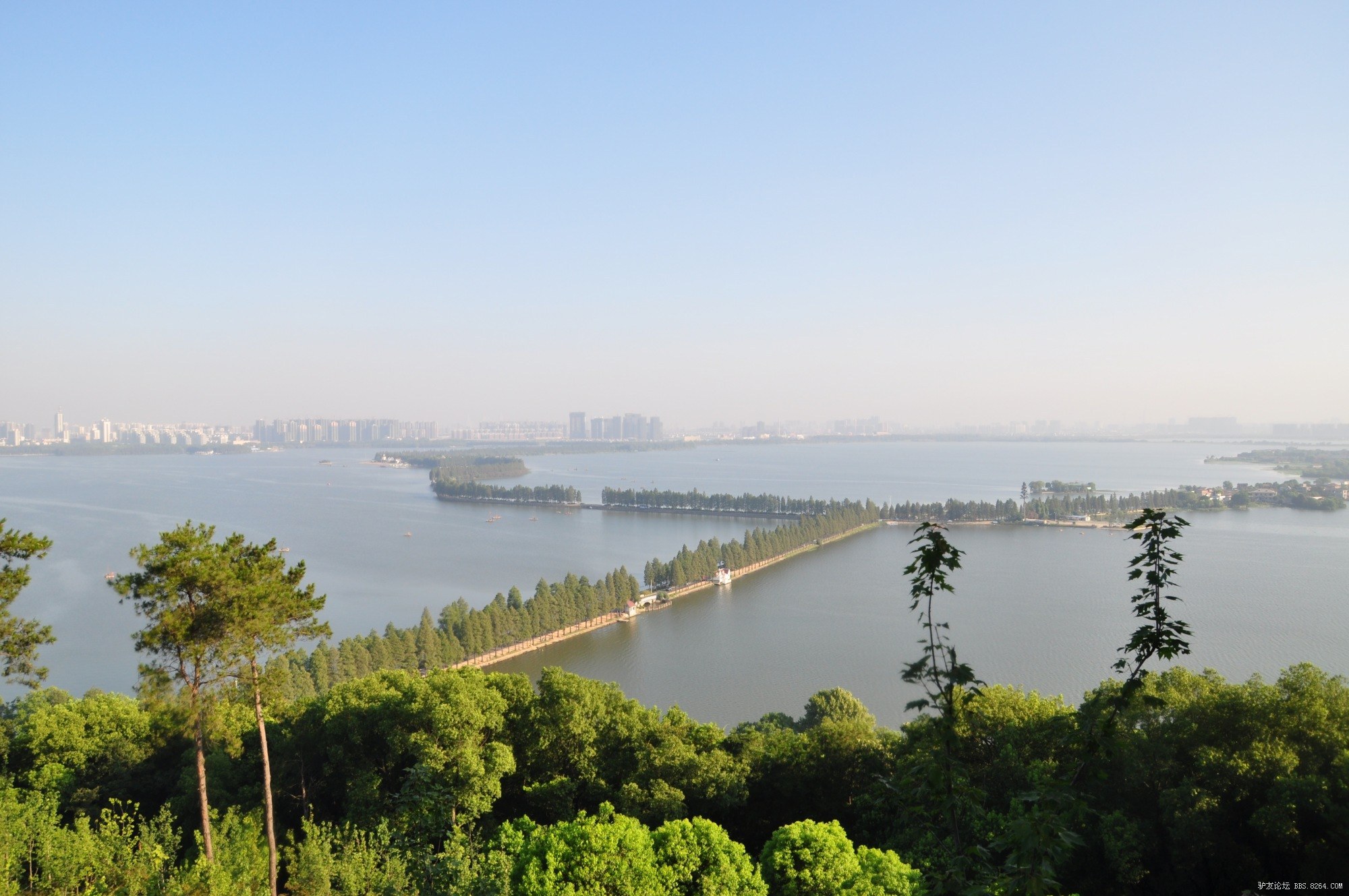 东湖磨山荷苑----------- - 第1页 - 户外摄影 - 户外资料网