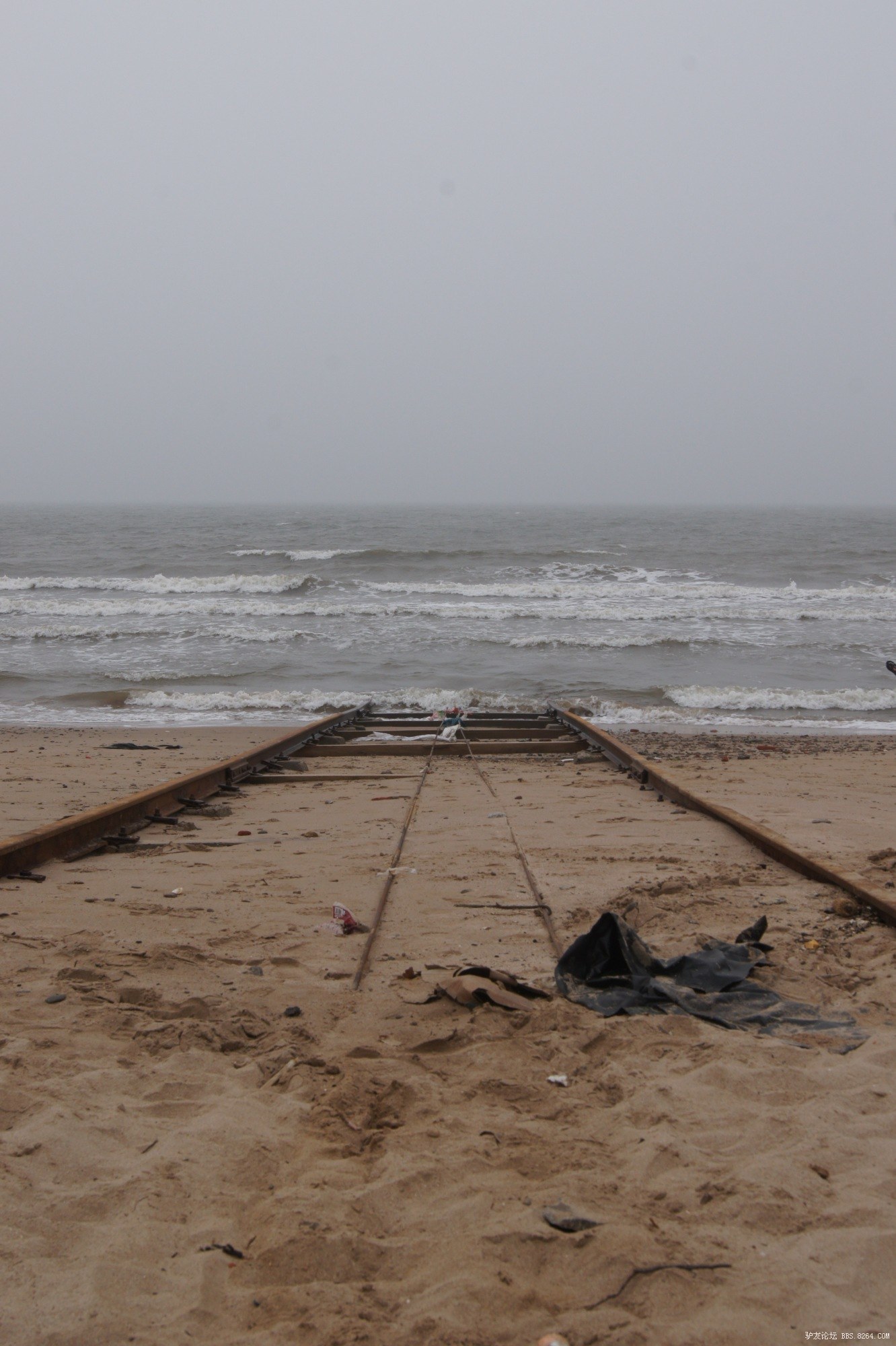 8264逍遥户外7月的海边绥中二河口踏浪露营活动照片召集帖