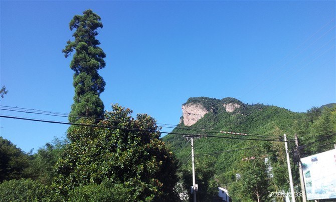 临安龙上村狂欢