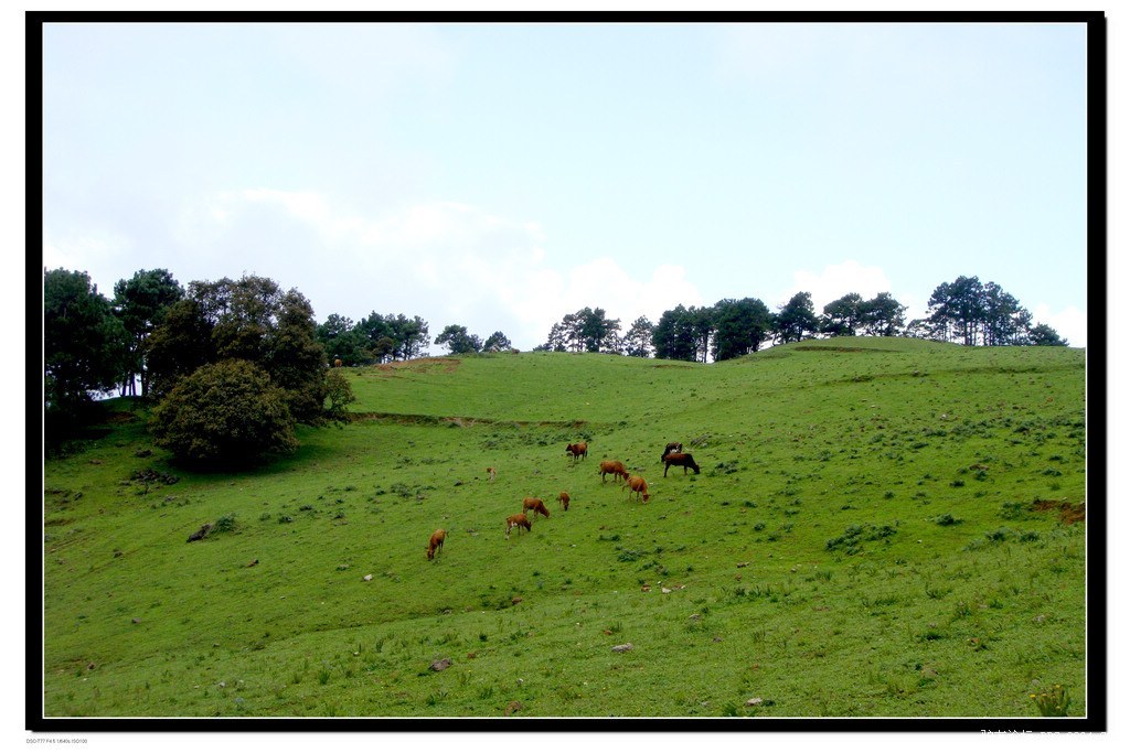 草坝子放羊坪红壁滩穿越