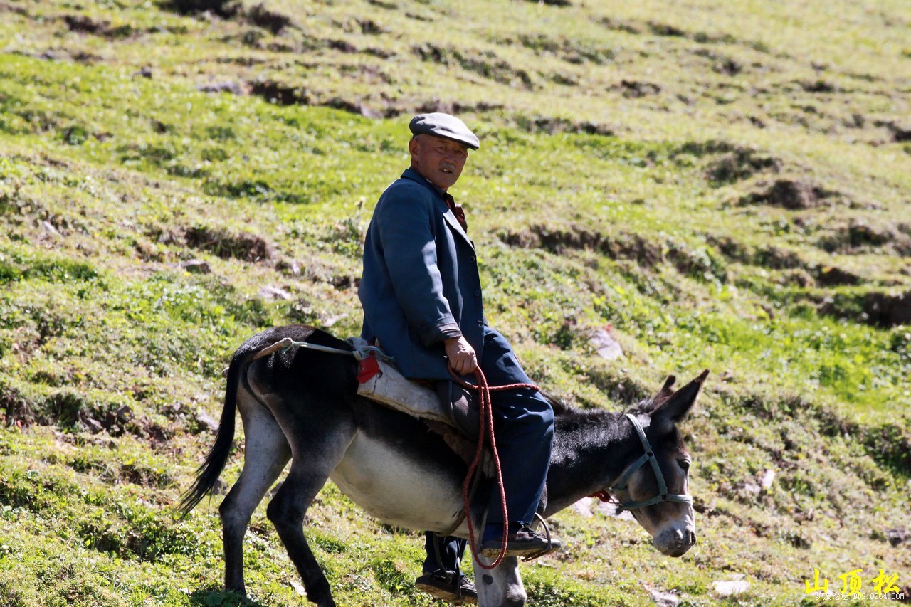 路遇骑驴的牧民