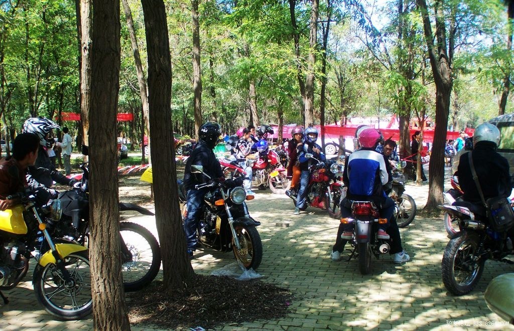 "好客山东休闲汇"孤岛万亩槐林帐篷节幕纪实!