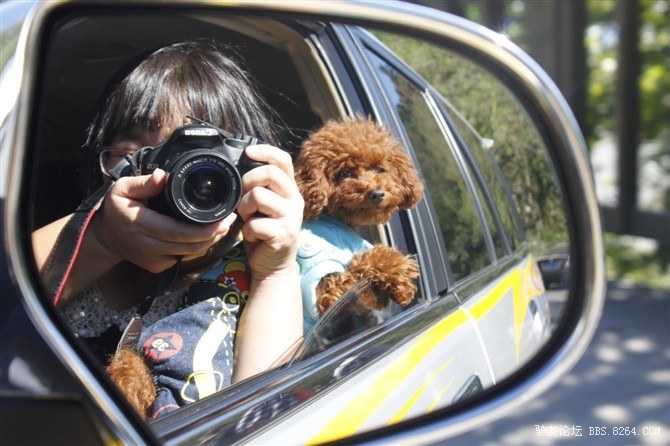 秋高气爽 喜迎双节 大连市最美的徒步线路—滨海路溜达溜达去
