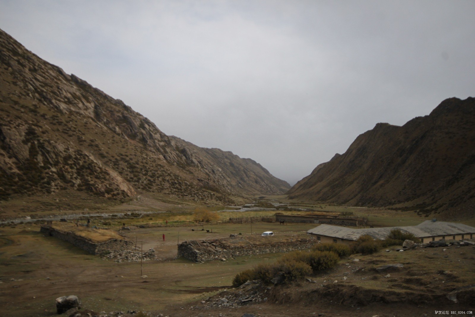 库尔楚大峡谷---十一五天行程,吃羊追狼,腐败加自虐(20页人物,动物