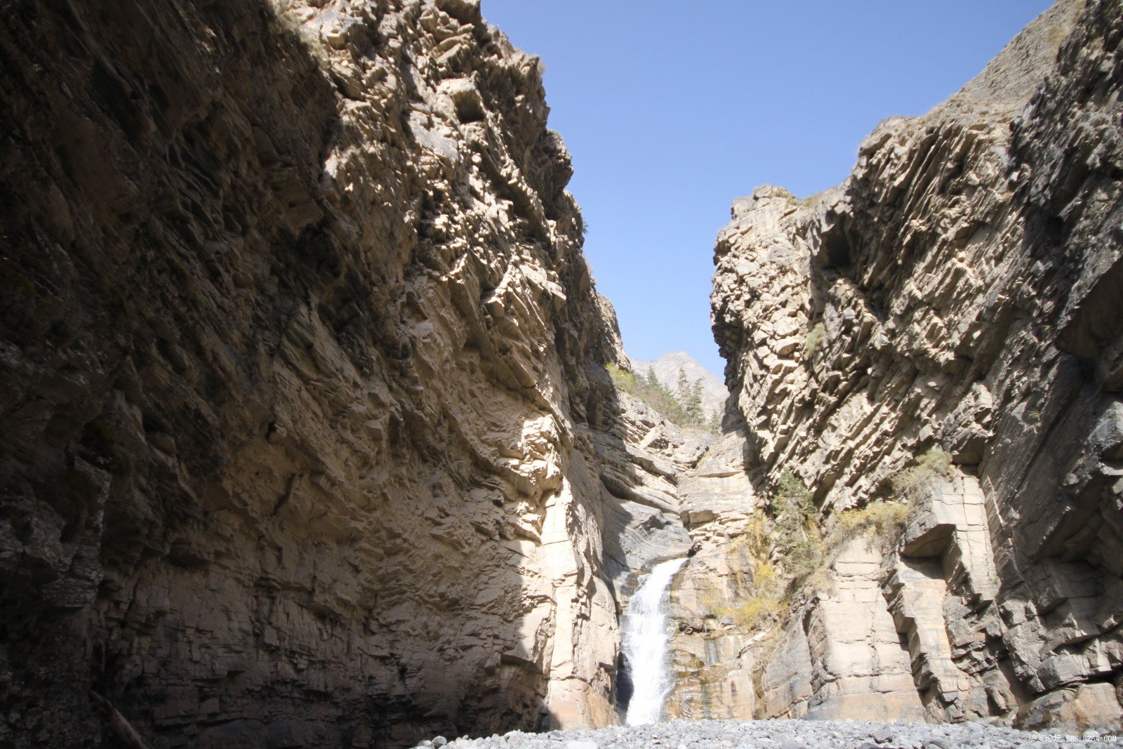 库尔楚大峡谷十一五天行程吃羊追狼腐败加自虐20页人物动物植物各种骚