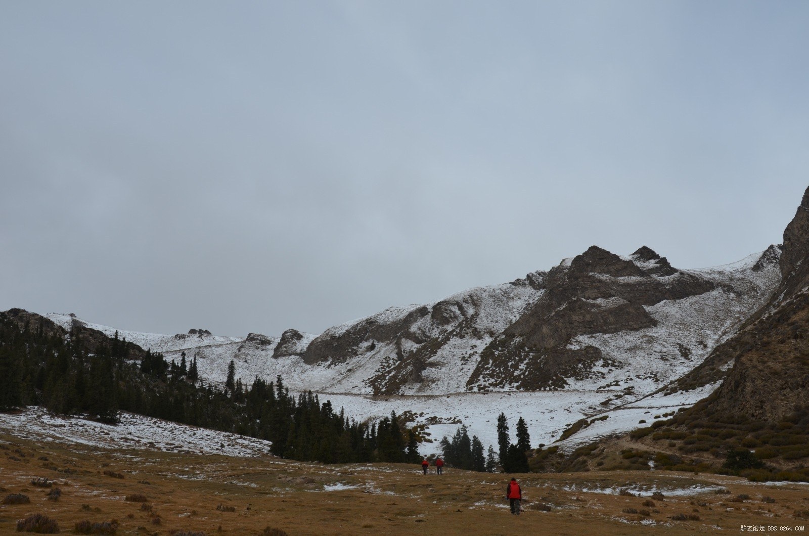 库尔楚大峡谷---十一五天行程,吃羊追狼,腐败加自虐(20页人物,动物
