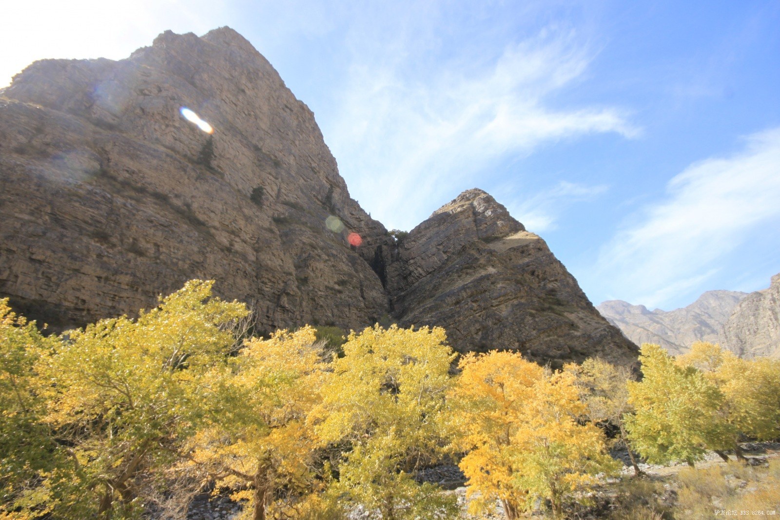 库尔楚大峡谷---十一五天行程,吃羊追狼,腐败加自虐(20页人物,动物