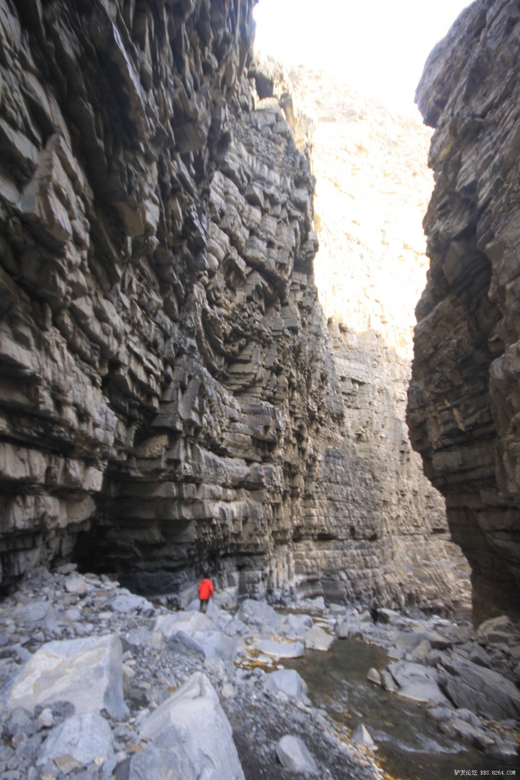 库尔楚大峡谷---十一五天行程,吃羊追狼,腐败加自虐(20页人物,动物
