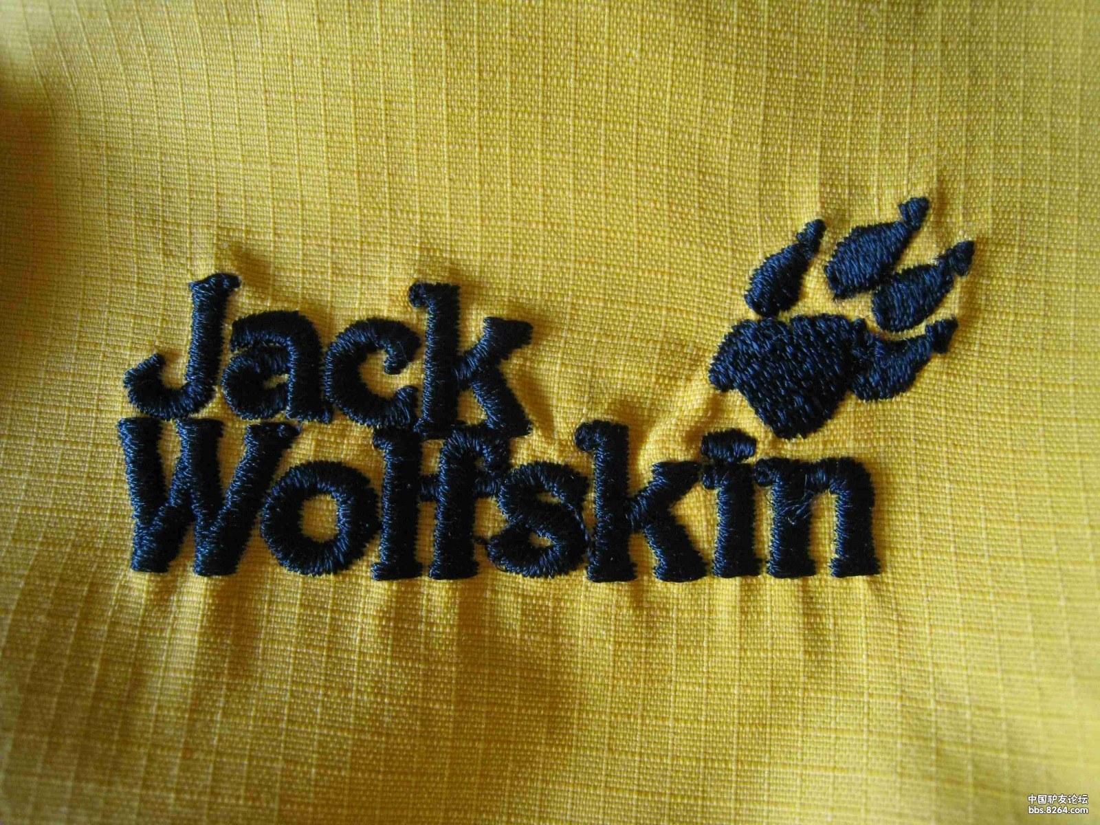 冰天雪地跪求鉴定狼爪真假.元方 你怎么看?