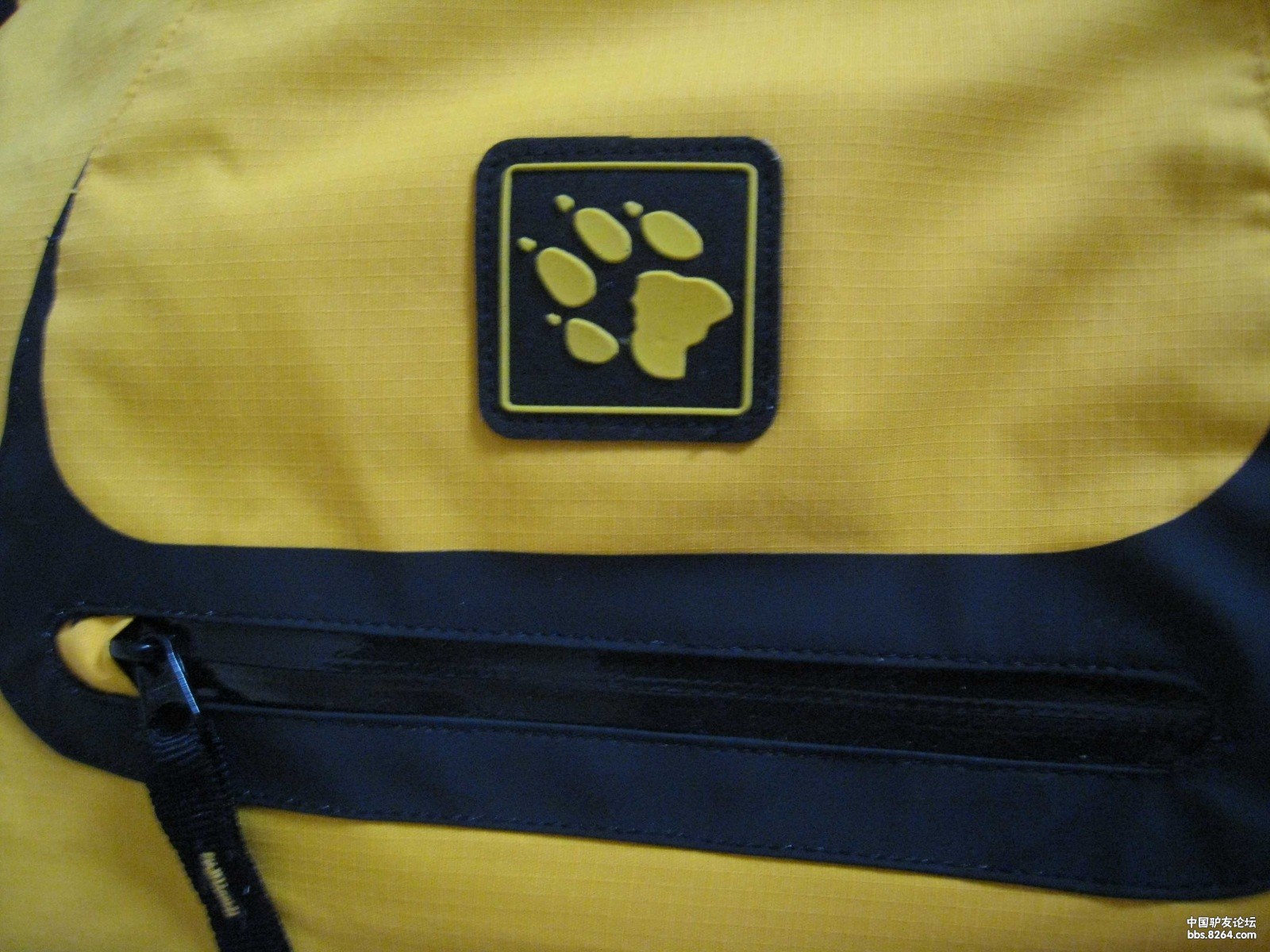 冰天雪地跪求鉴定狼爪真假.元方 你怎么看?