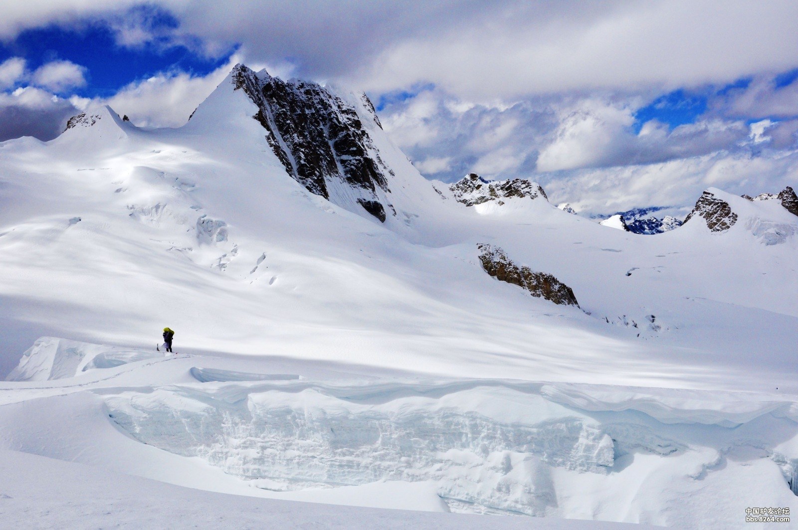 菜鸟mm第二波——偶的6168,偶的风雪雀儿(43楼开始冲顶 .