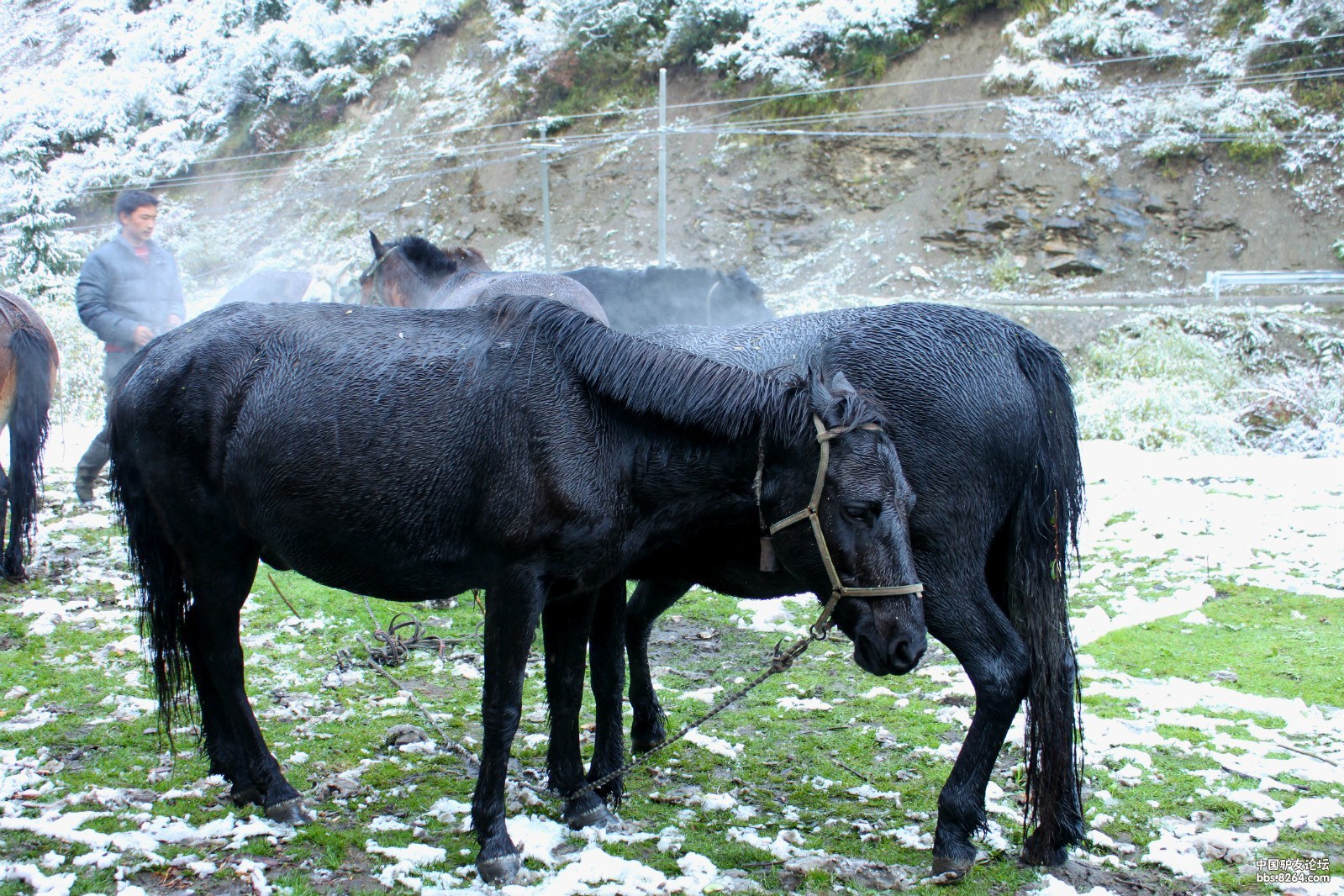 行川四女子的自驾游记