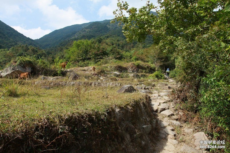 11月34日牛湖村穿越