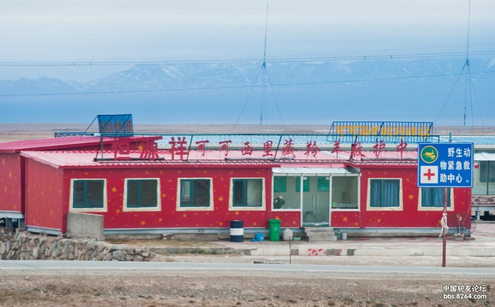 过了不冻泉,铁路与公路几乎是平行地穿行于广袤的可可西里保护区.