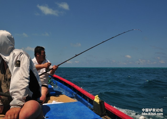 69 驴友论坛 69 『 钓鱼 』 69 西沙海钓纯爷们的活动 续篇