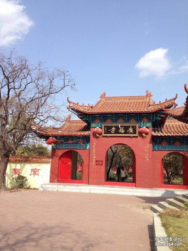 郯城广福寺,银杏园带路贴