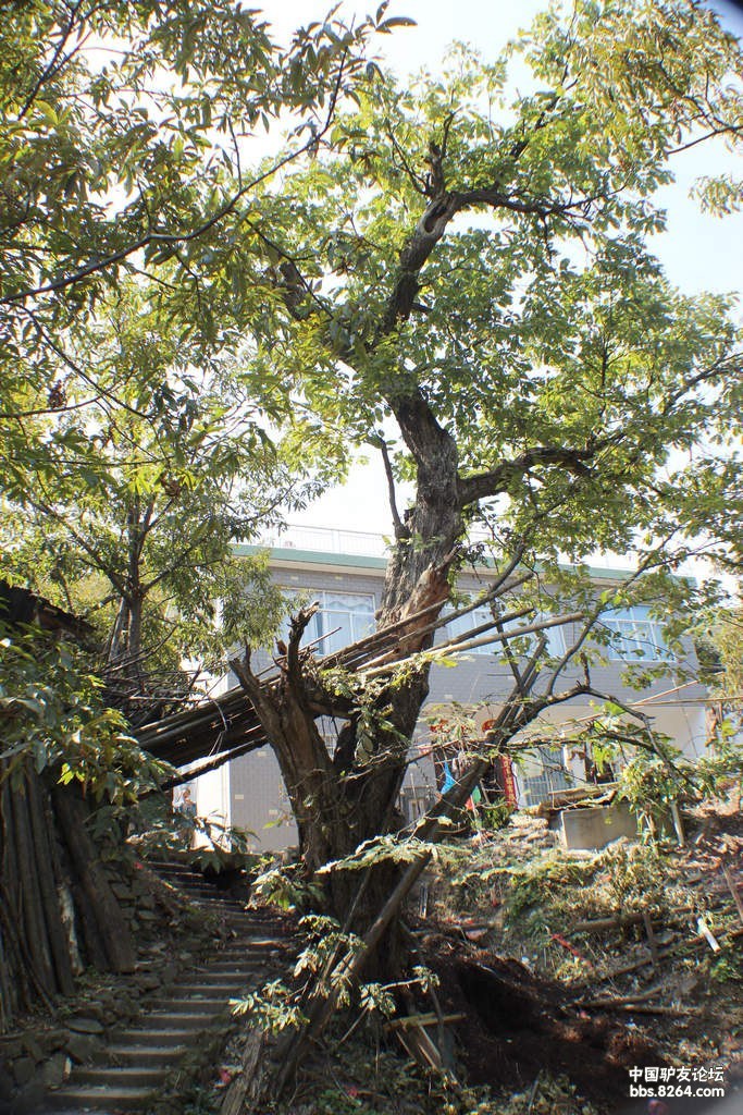 穿越龙丛源翻过锦屏山