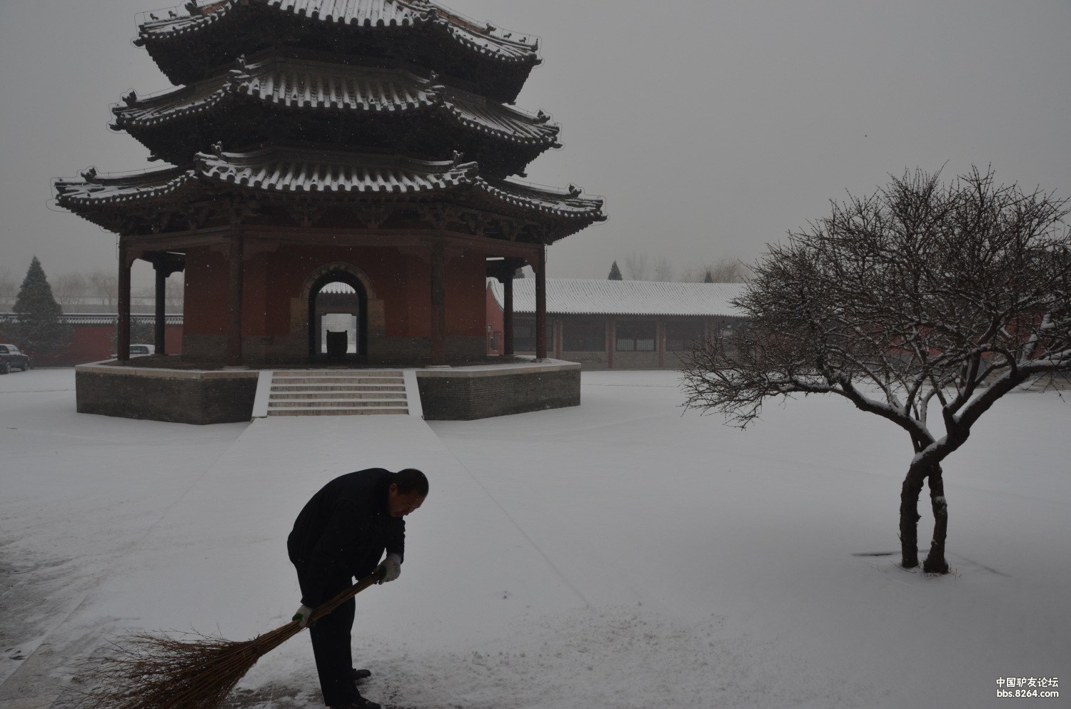 2012年的第一场雪---北岳庙赏雪
