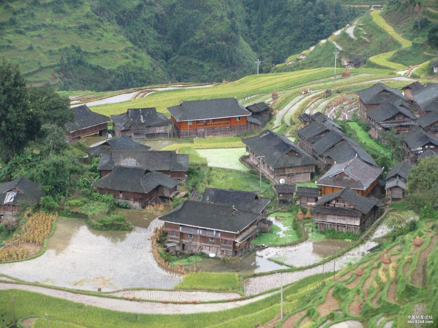 只为看一眼那道景致——我的贵州加榜梯田之行