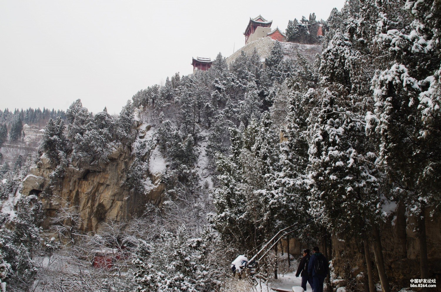 12月29日南博山-到金牛山-返回(已完成出行)请朋友们来指导