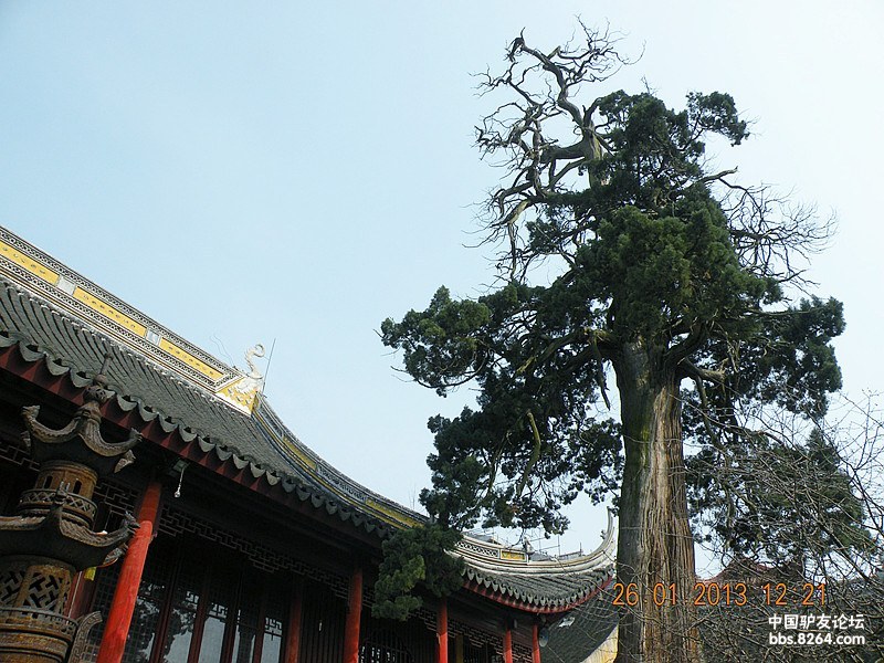 26登邓尉山玄墓山,初访雄伟古刹圣恩寺