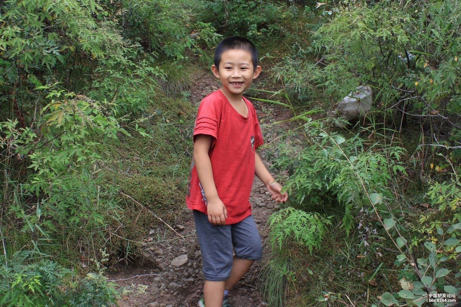 带着我儿子爬小山1