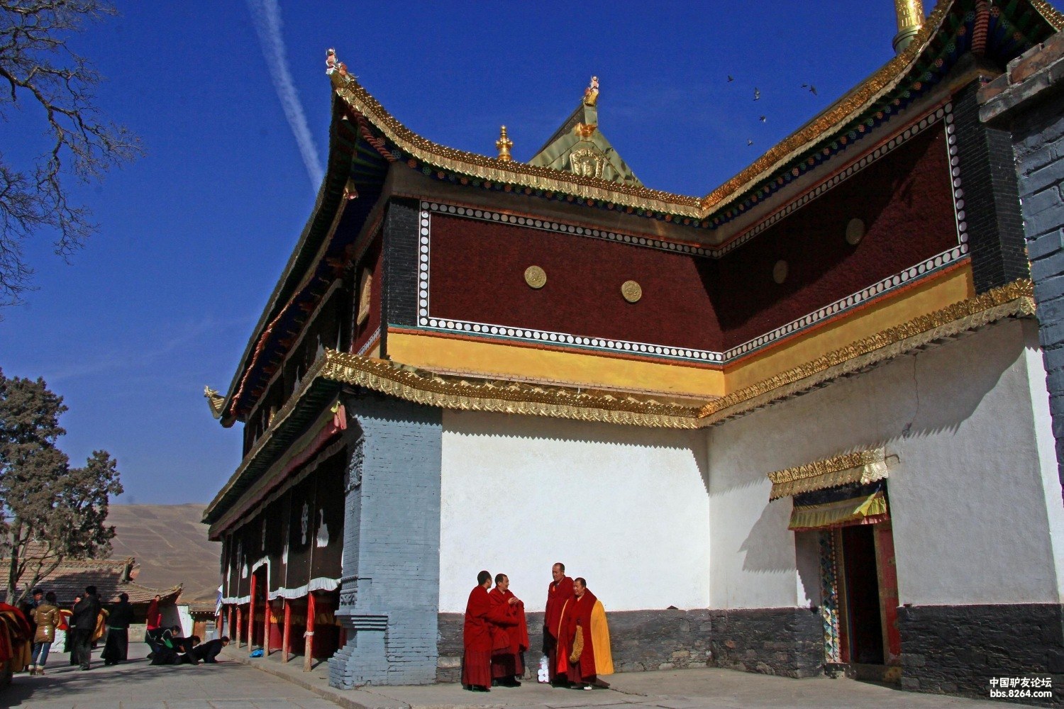 8264--驴友新年"佑宁寺"平安祈福行 - 第1页 - □-q青海 - 户外资料网