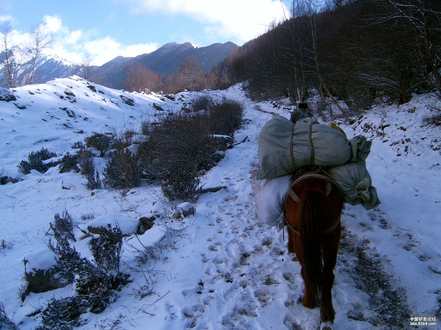 春节在四姑娘山的另一座雪山登顶美景鹰鸽嘴峰2月16日