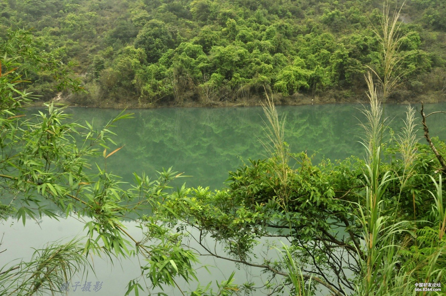 周日雨游长坑水库