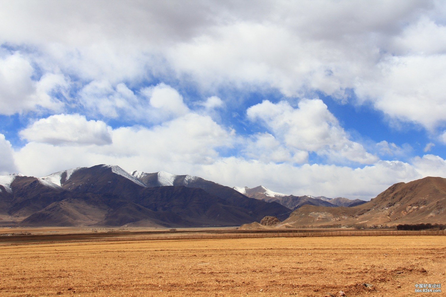 2013年4月9日林周县