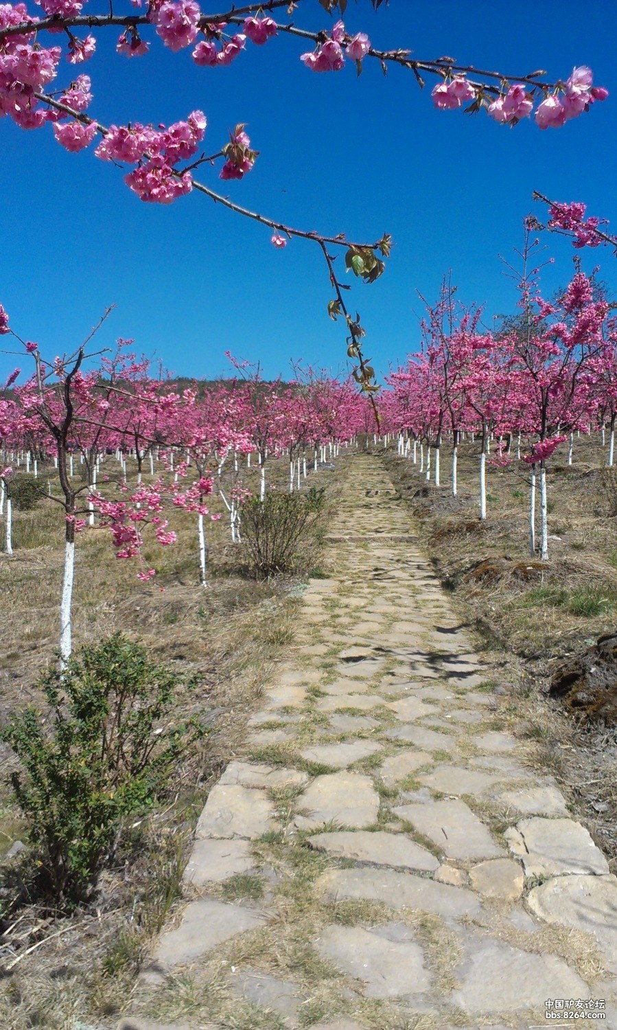 磨盘山(照片持续更新中)