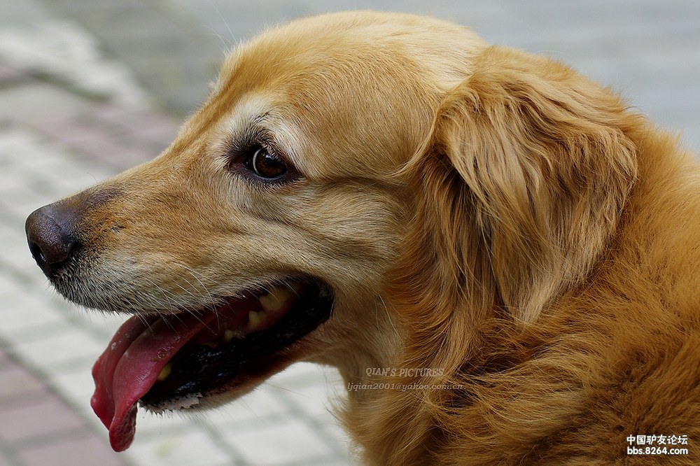 泰国17日自驾游