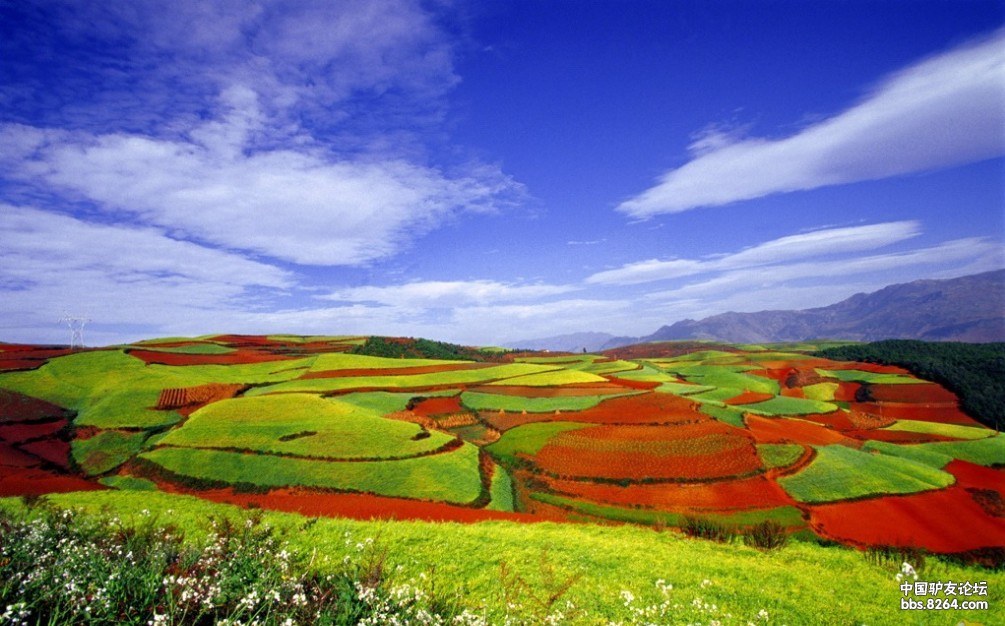 端午节自驾游,东川摄影红土地,若尔盖大草原 - 第1页 - 四川 - 8264.