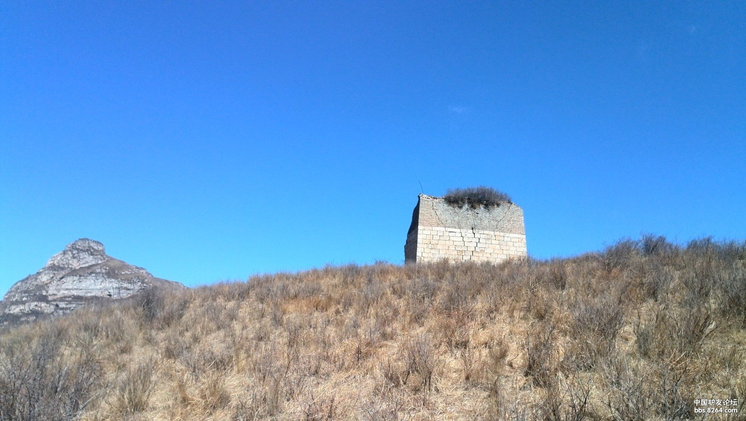 新驴之歪头山露营