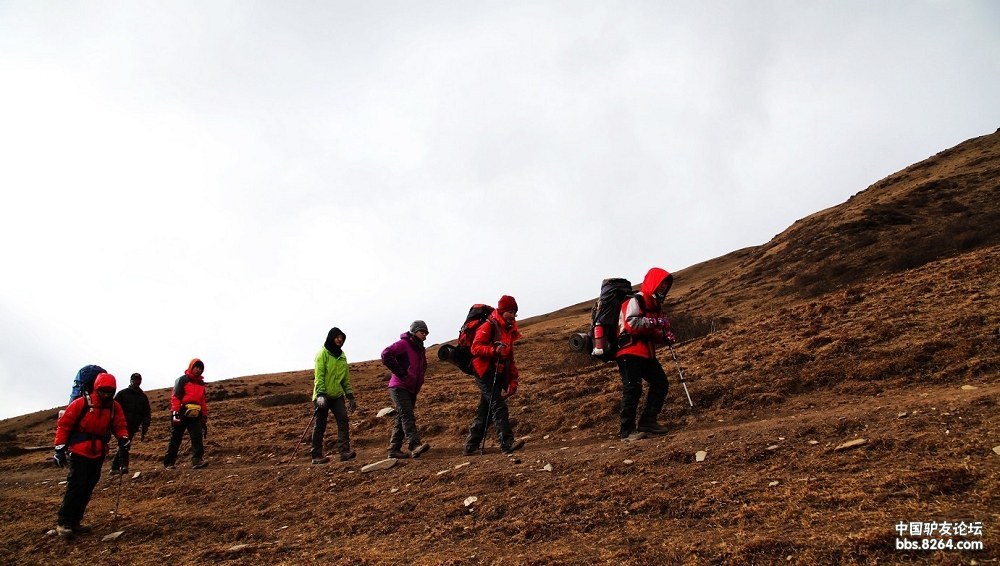 枯叶吹落的姿势,寻找河流的最开始-记我人生的第一座5k(未完待续)
