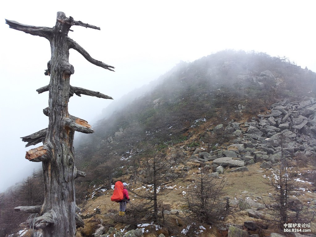 五一鳌太线西东全线穿越