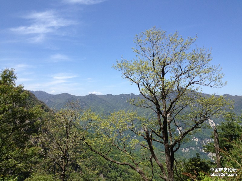 [西安] 交作业山旅户外5月11-12日.