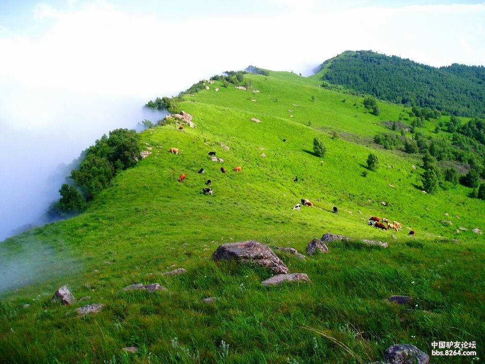 唐县大茂山公园更名为河北古北岳国家森林公园
