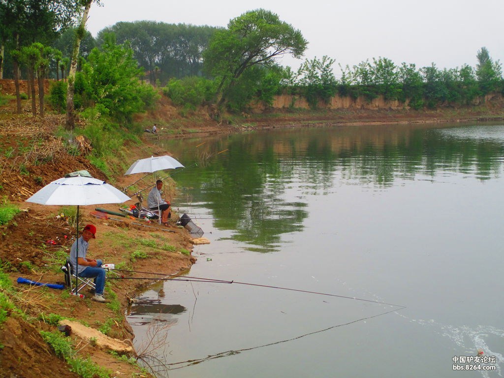 皇明湖鲍家河水库