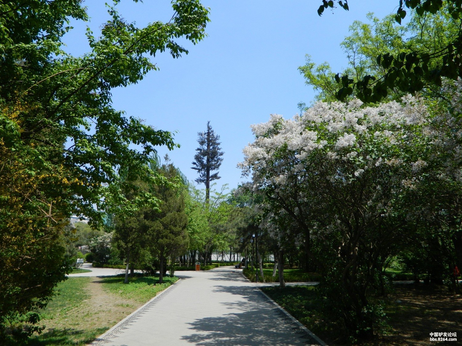 独行单游沈阳第一园林"夏芳园"