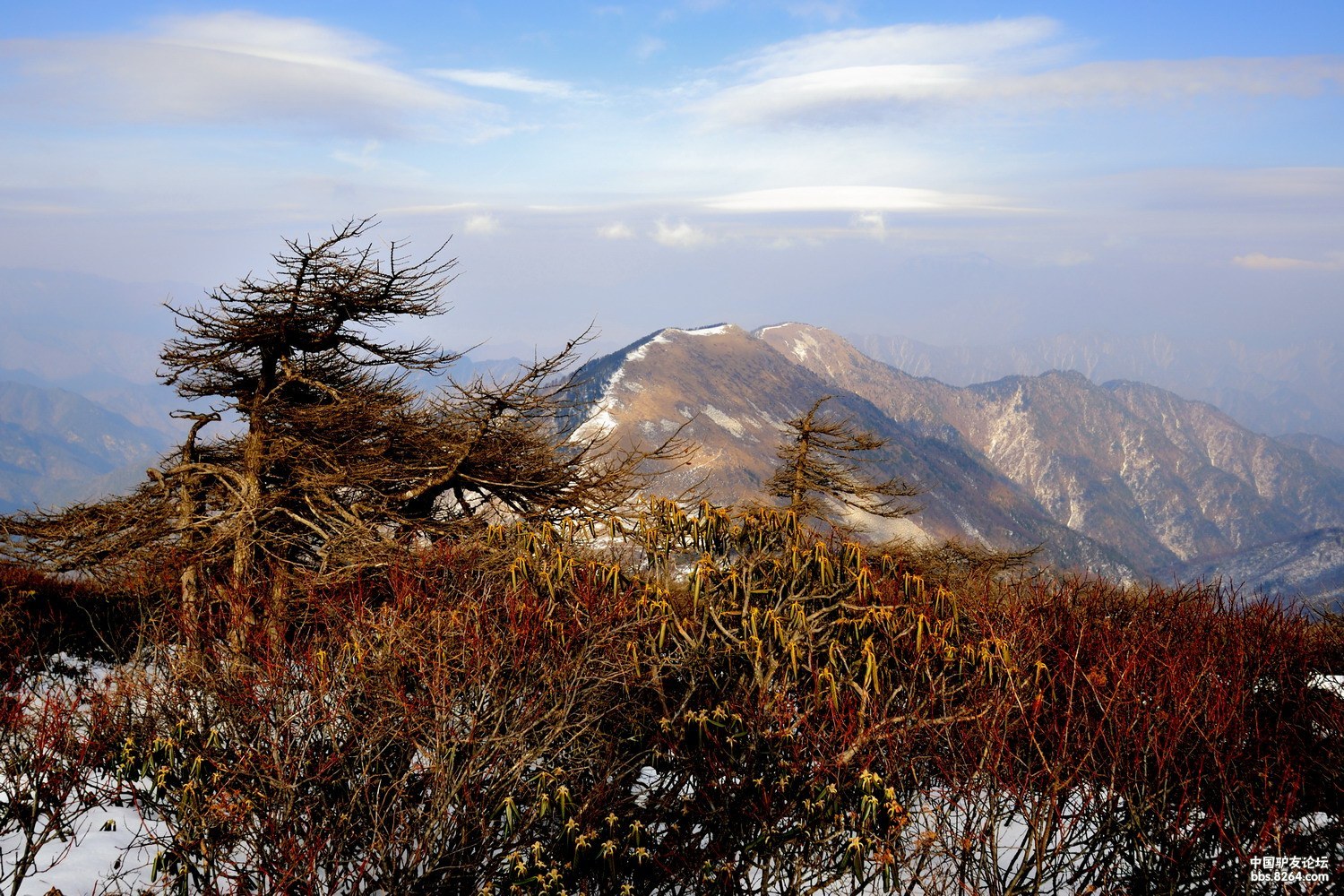 青山不墨画千里---东梁掠影