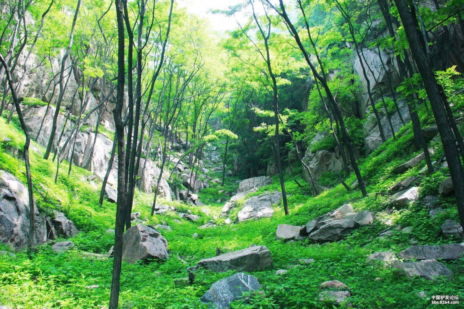 6月2日山鹰户外泰山穿越精彩美图