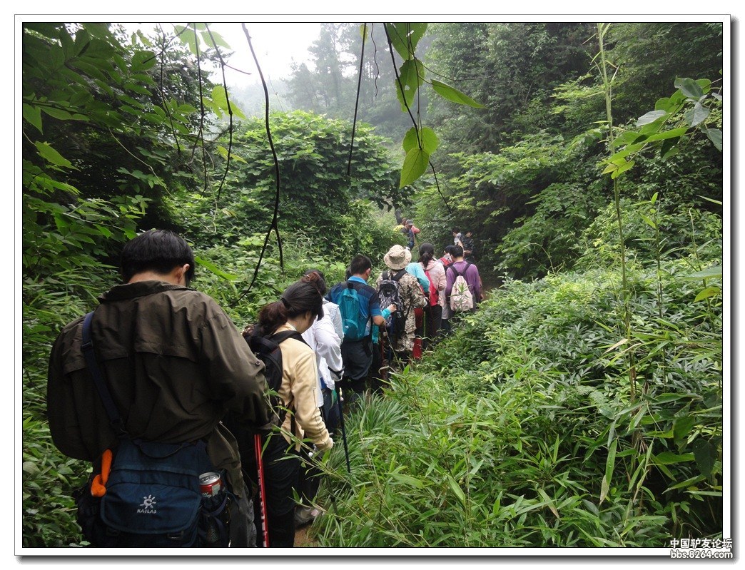 11 多地共百多位爬山驴友灵白魔鬼线往返回顾