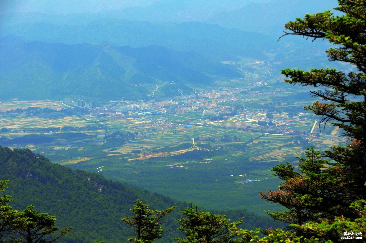 云端下,我们漫步在鳌山 - 第10页 - 陕西 - 8264户外