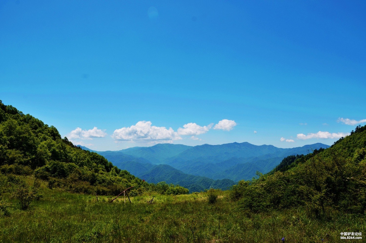 neo_img_秦岭太白 062.jpg