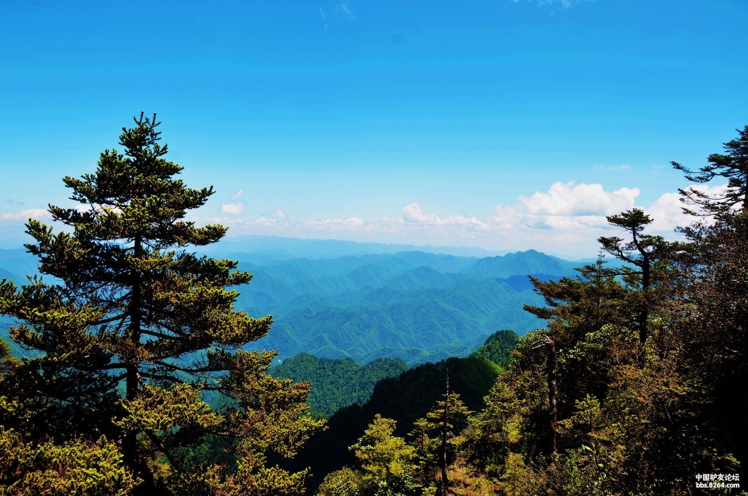 neo_img_秦岭太白 116.jpg